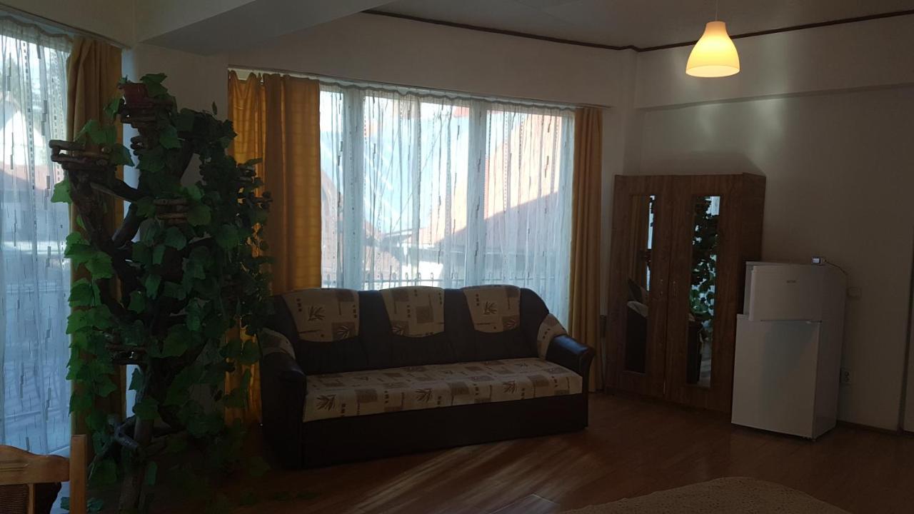 Pensiunea Casa Noastra Hotel Sinaia Ngoại thất bức ảnh