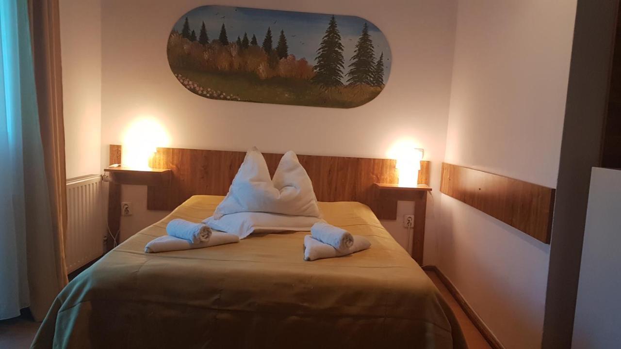 Pensiunea Casa Noastra Hotel Sinaia Ngoại thất bức ảnh